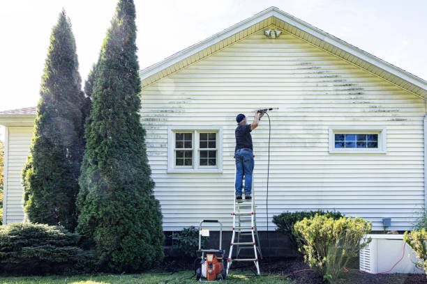Animal Enclosure Cleaning in Captains Cove, VA